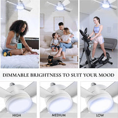 LED Fan Light